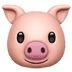 :pig: